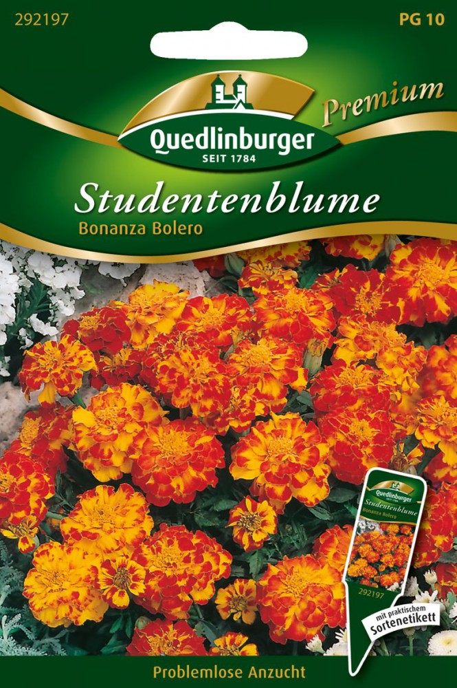  Studentenblumen Bonanza Bolero