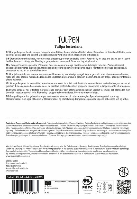  Fosteriana-Tulpe Orange Emperor (5 Stück)