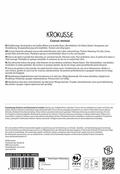  Krokus Jeanne D'Arc (12 Stück)