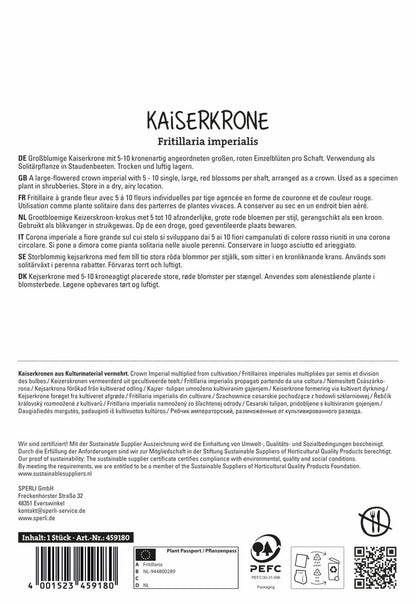  Kaiserkrone Rubra (1 Stück)