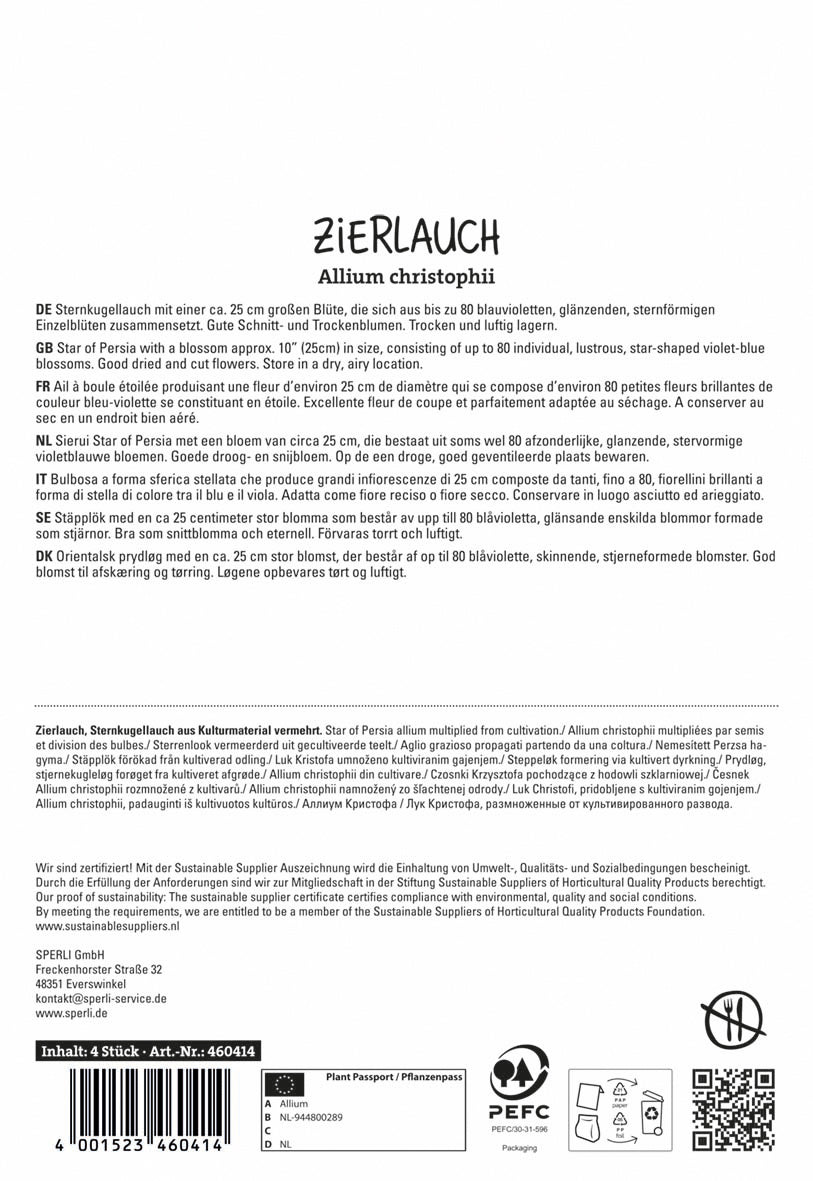  Zierlauch Christophii (4 Stück)