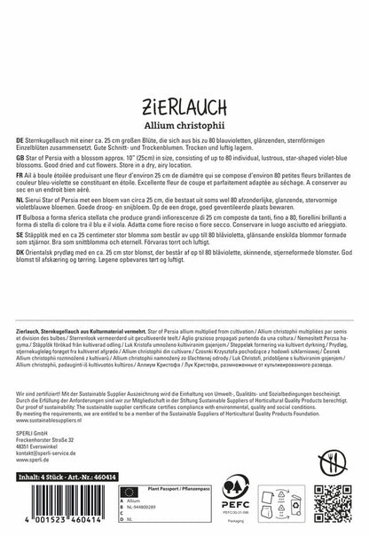  Zierlauch Christophii (4 Stück)