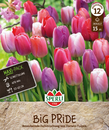  Maxi Tulpen Big Pride Mischung (15 Stück)