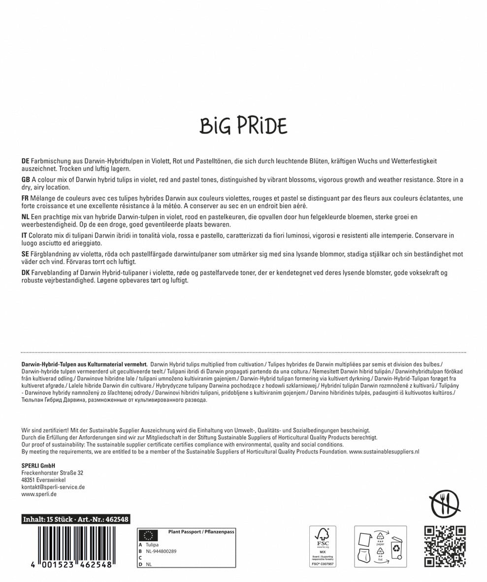  Maxi Tulpen Big Pride Mischung (15 Stück)