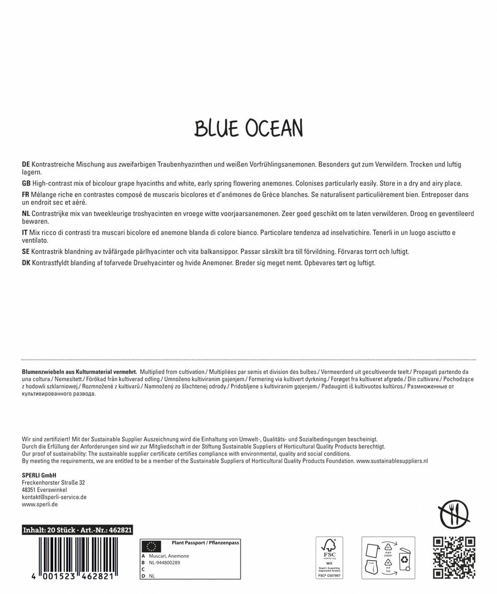  Maxi Blue Ocean Mischung (20 Stück)