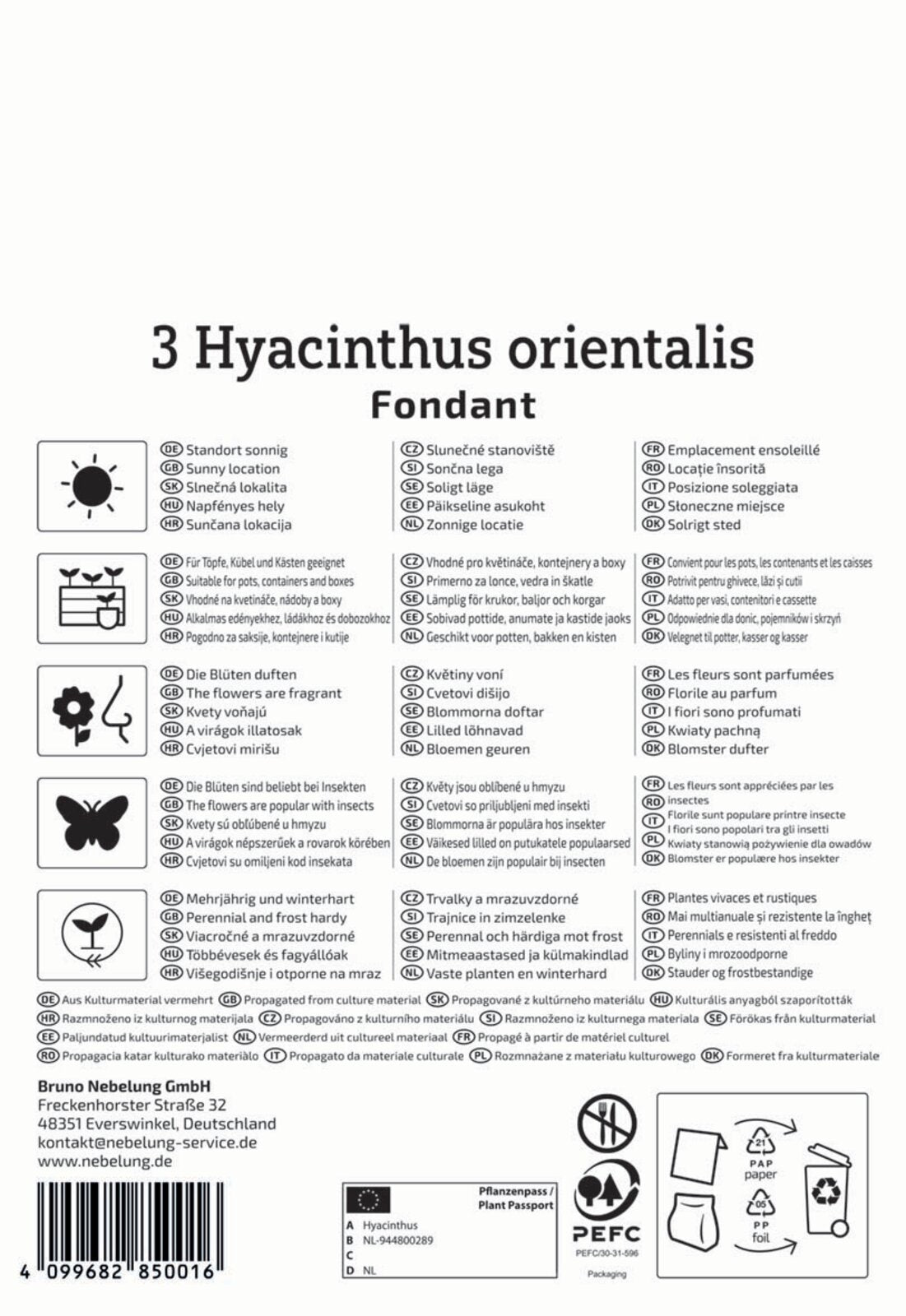  Hyazinthe Fondant (3 Stück)