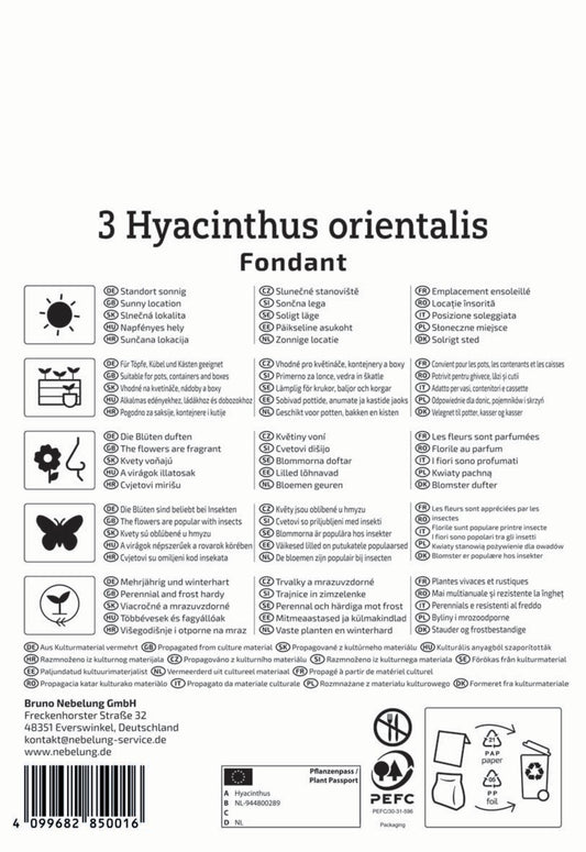  Hyazinthe Fondant (3 Stück)