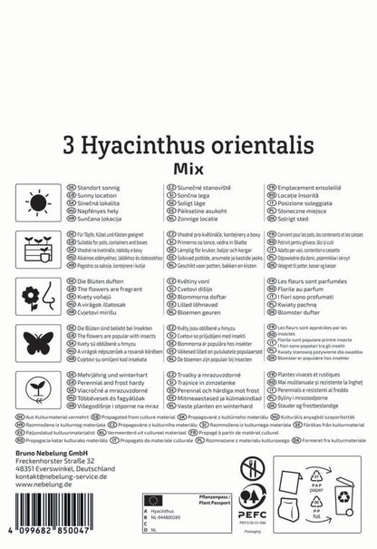  Hyazinthen Mischung (3 Stück)