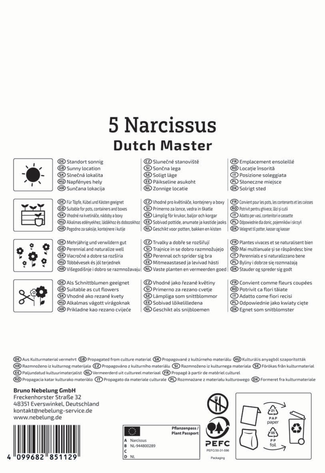  Trompeten-Narzisse Dutch Master (5 Stück)