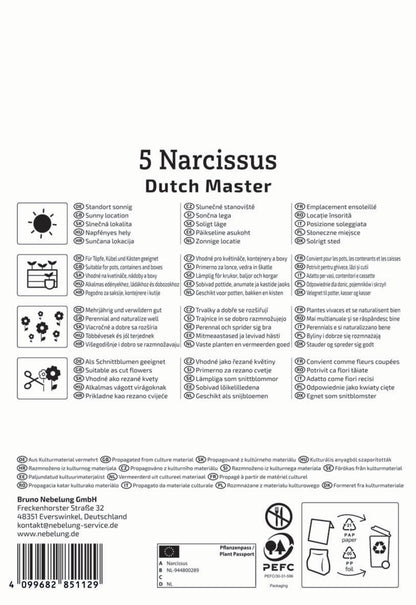  Trompeten-Narzisse Dutch Master (5 Stück)