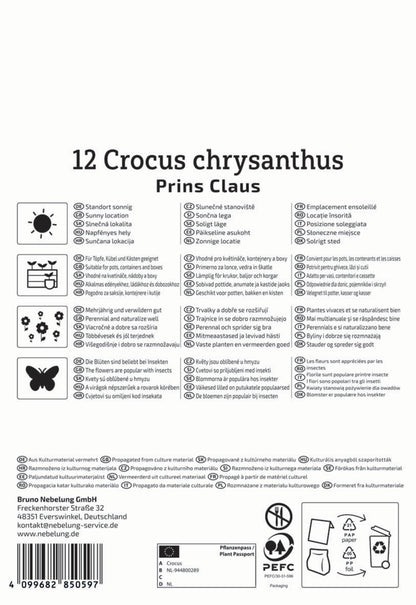  Botanischer Krokus Prins Claus (12 Stück)