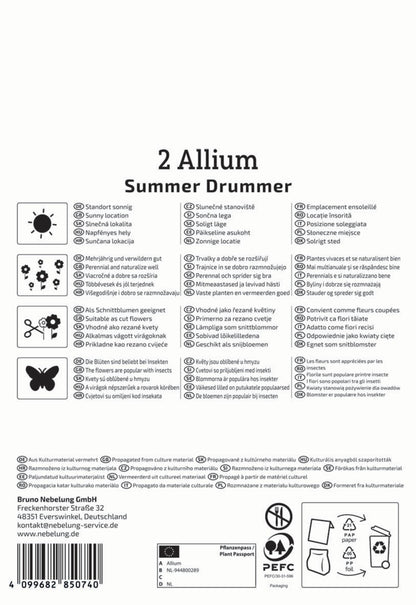  Zierlauch Summer Drummer (2 Stück)