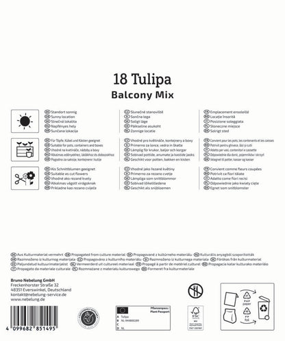  Mega-Pack Botanische Tulpen Balkonzauber Mischung (18 Stück)