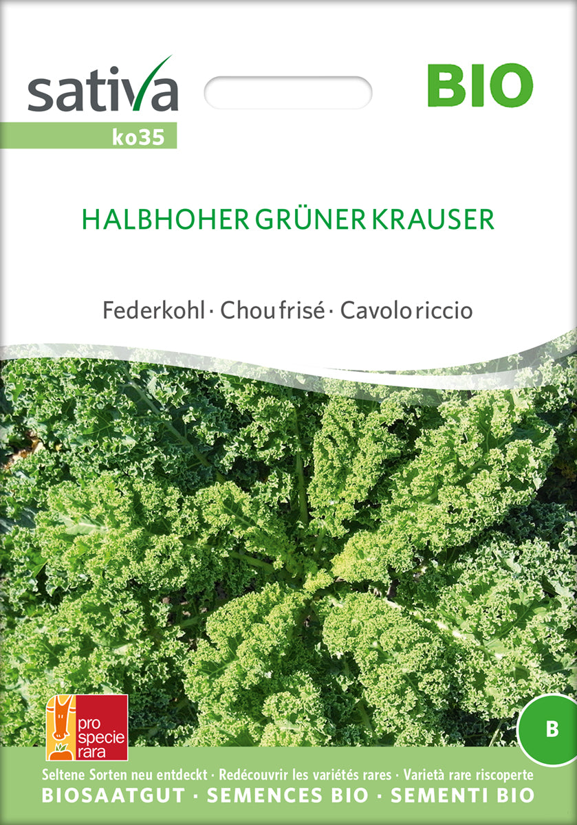  BIO Federkohl / Grünkohl Halbhoher Grüner Krauser [MHD 12/2025]