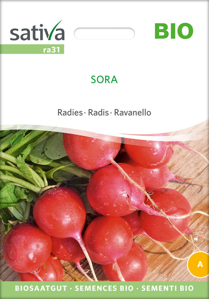  BIO Radies Sora [MHD 12/2025]