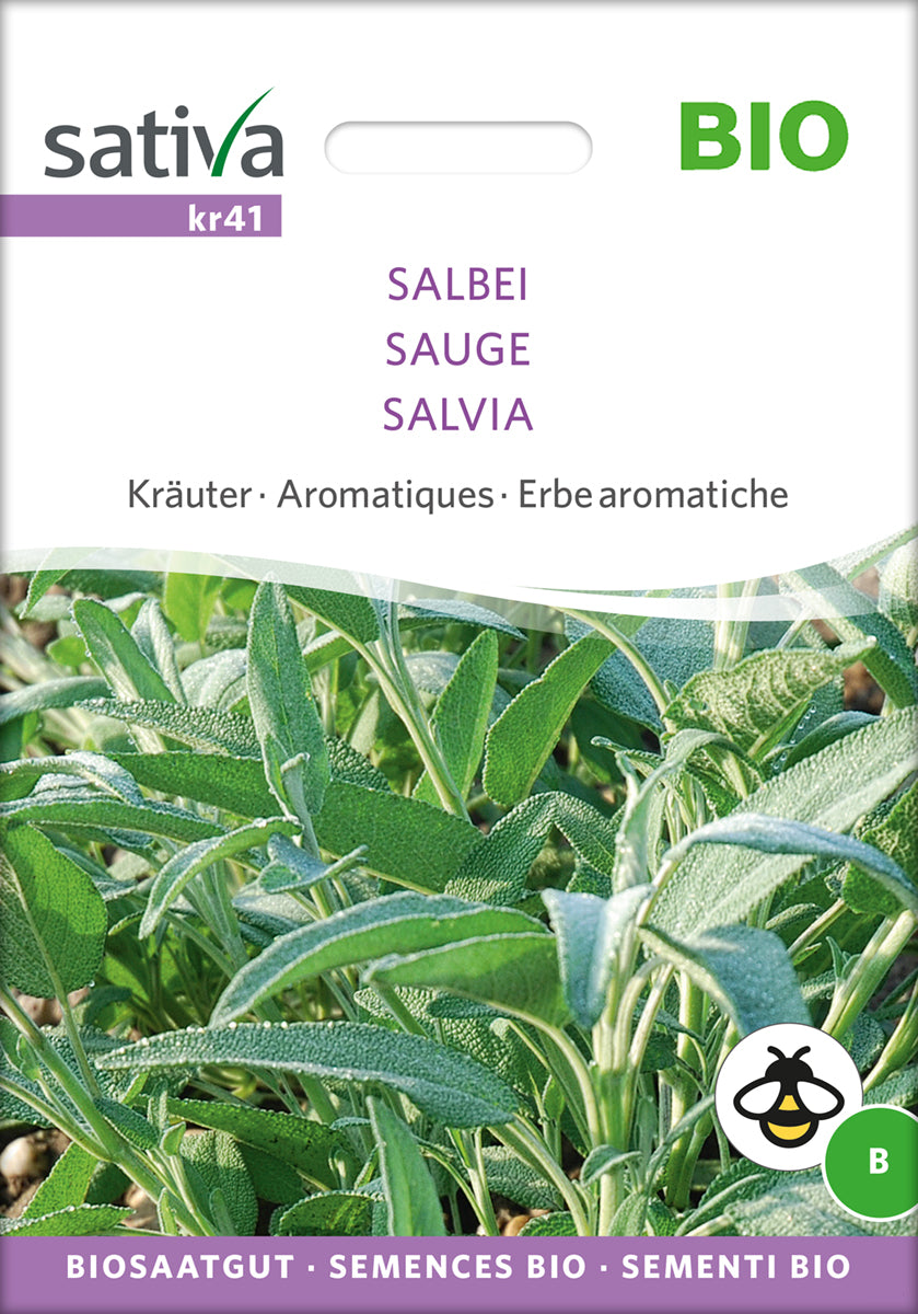  BIO Salbei [MHD 12/2025]
