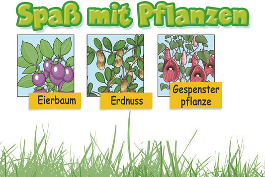  Anzuchtset Spaß Mit Pflanzen-Klein