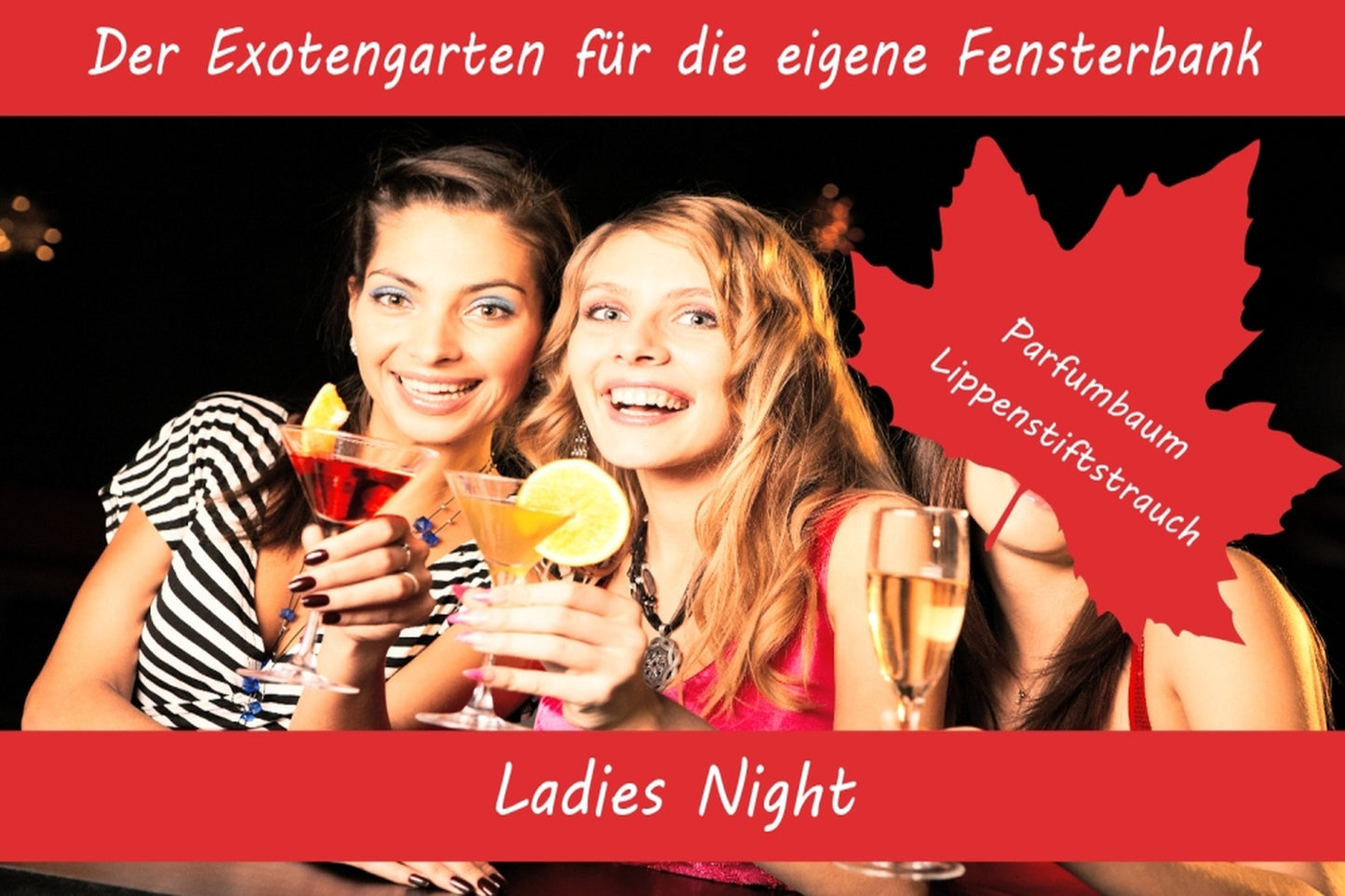  Anzuchtset Ladies Night