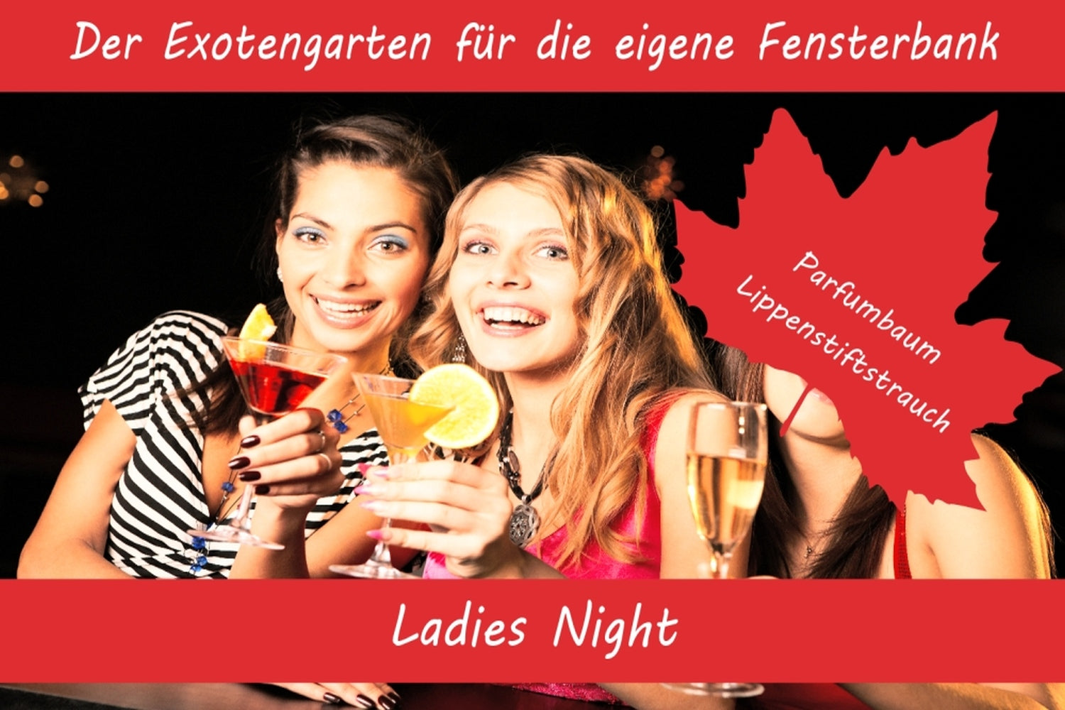  Anzuchtset Ladies Night