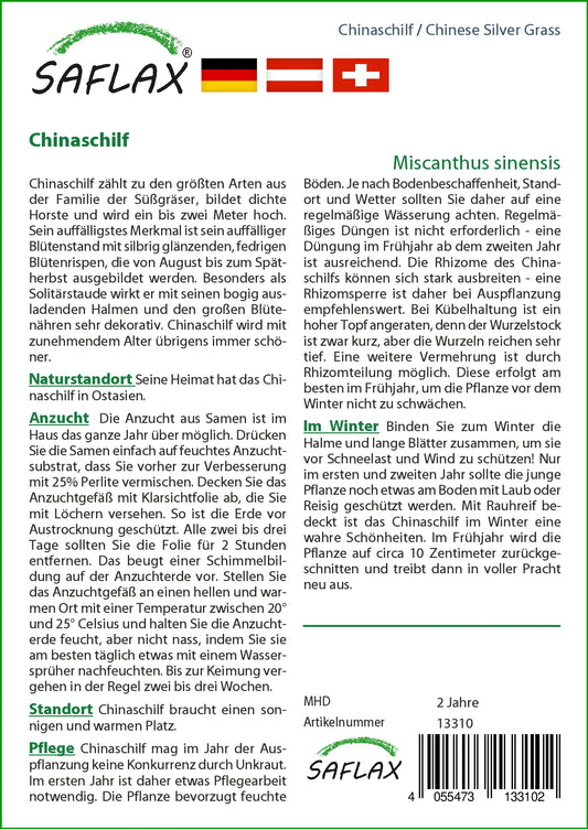  Chinaschilf