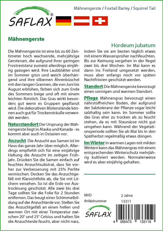  Mähnengerste