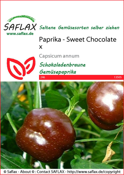  Paprika Sweet Chocolate X