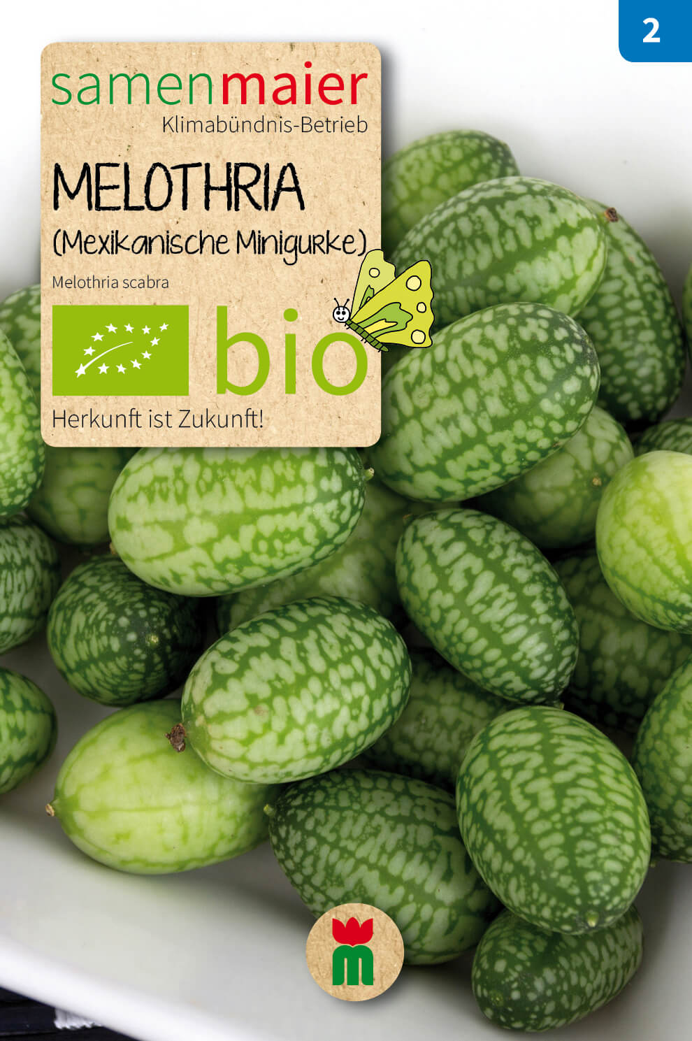  BIO Beet-Box "Raritätenbox"