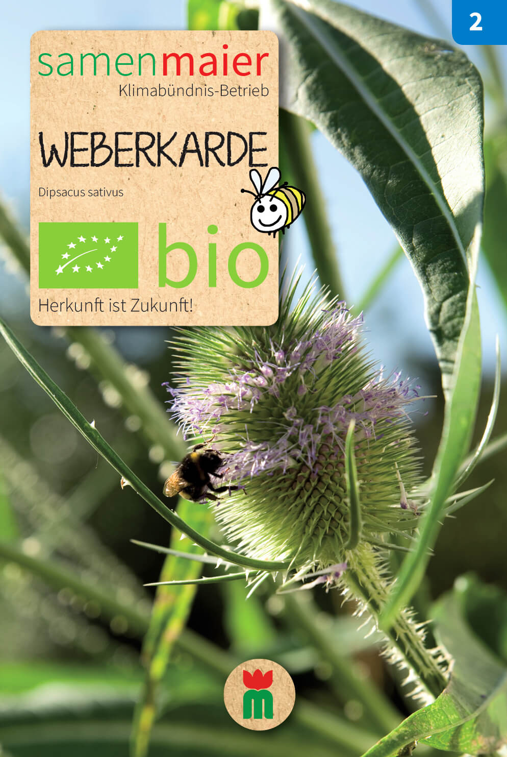  BIO Beet-Box "Raritätenbox"
