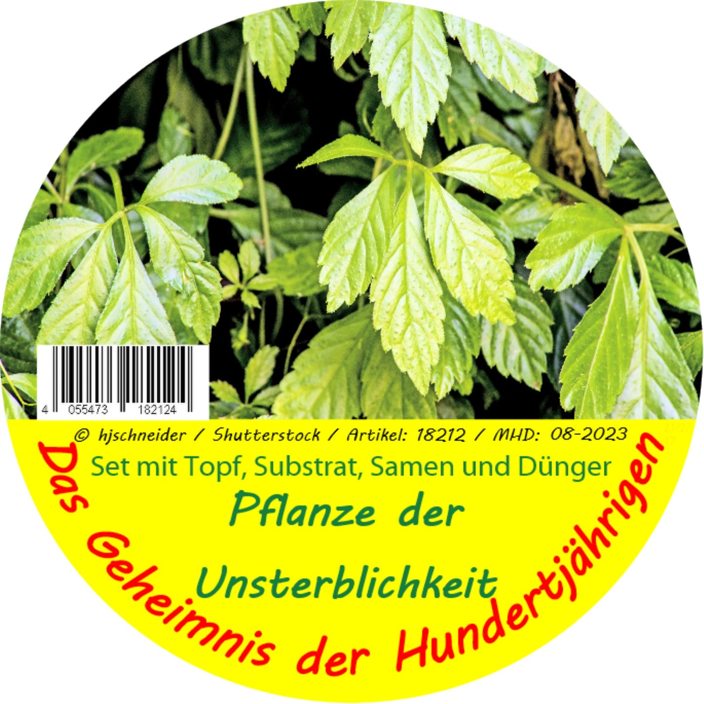  Pflanze Der Unsterblichkeit