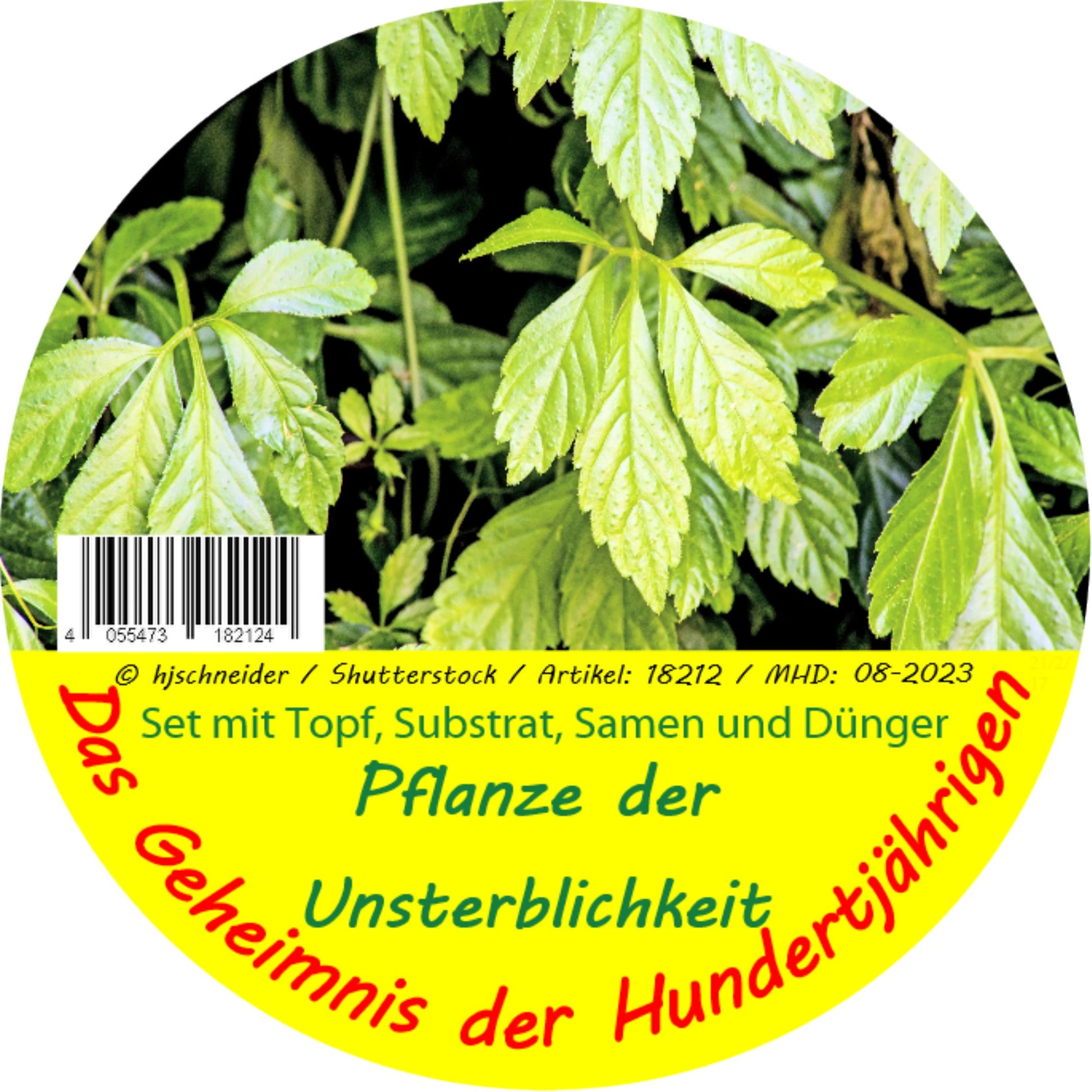  Pflanze Der Unsterblichkeit