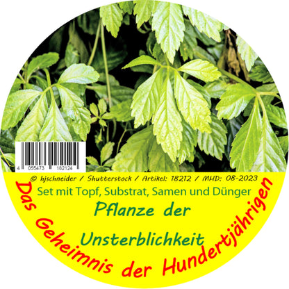  Pflanze Der Unsterblichkeit