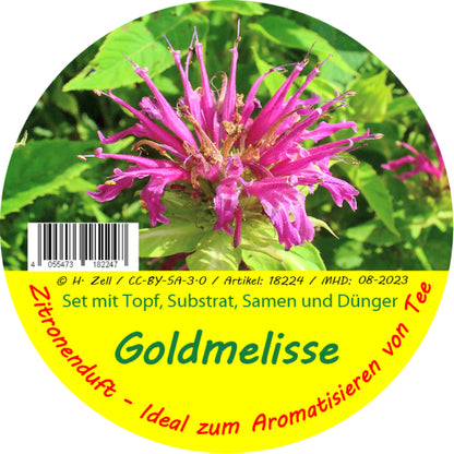  Goldmelisse