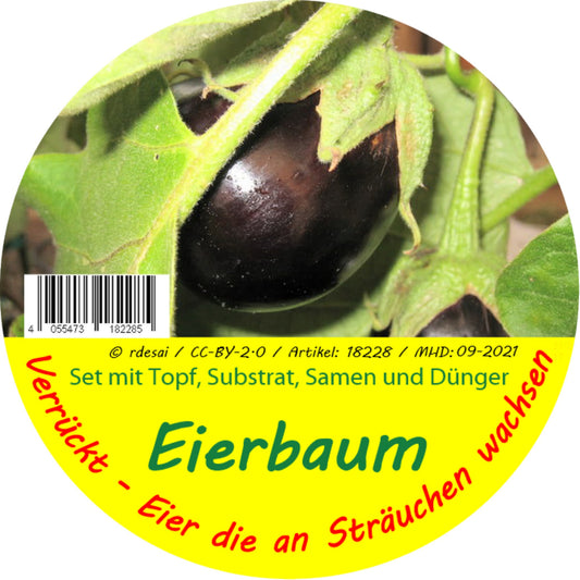  Eierbaum