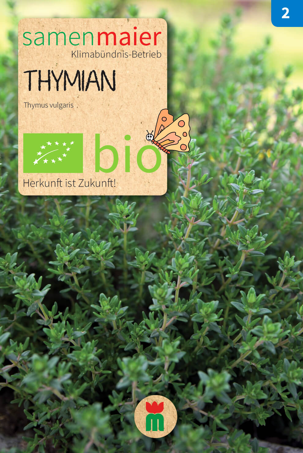  BIO Beet-Box "Für Teilzeit-Italiener"