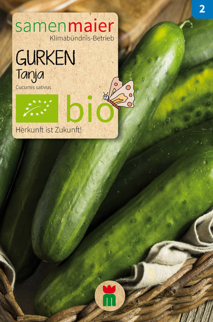  BIO Beet-Box "Für Smoothie-Maker" [MHD 12/2025]