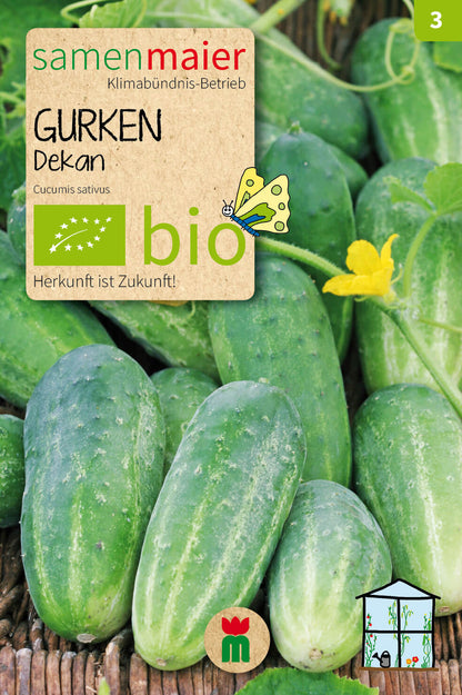  BIO Beet-Box "Für Den Gewächshausgärtner" [MHD 12/2025]