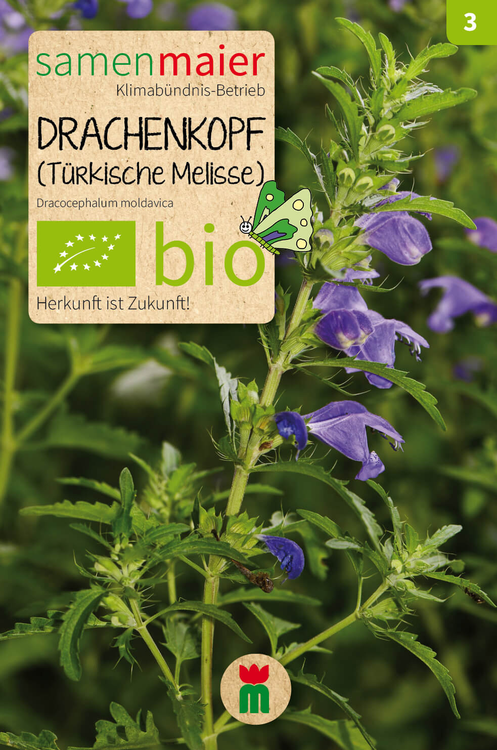  BIO Beet-Box "Blüten Aufs Teller!"