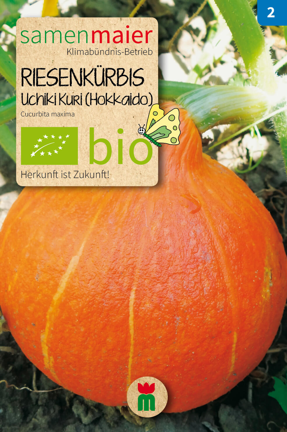  BIO Beet-Box "Für Den Babybrei" [MHD 12/2023]