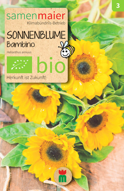  BIO Beet-Box "Für Kids"