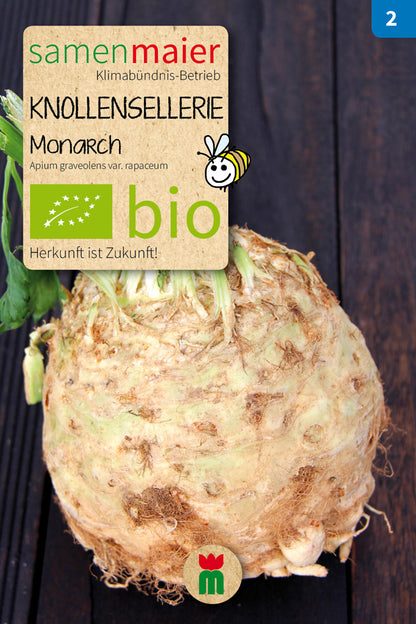  BIO Knollensellerie Monarch
