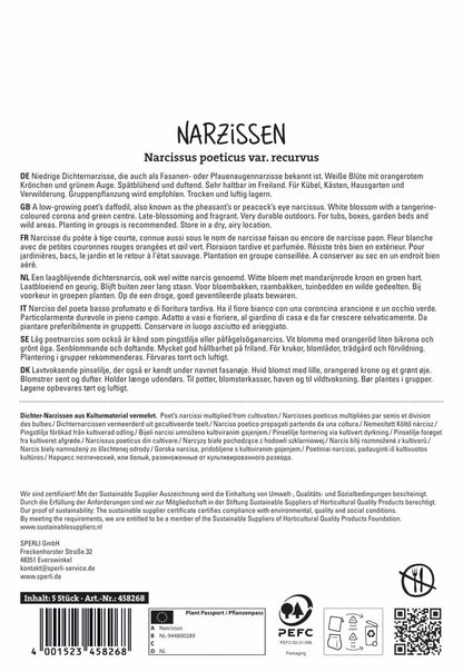  Botanische Narzisse Poeticus Recurcus (5 Stück)