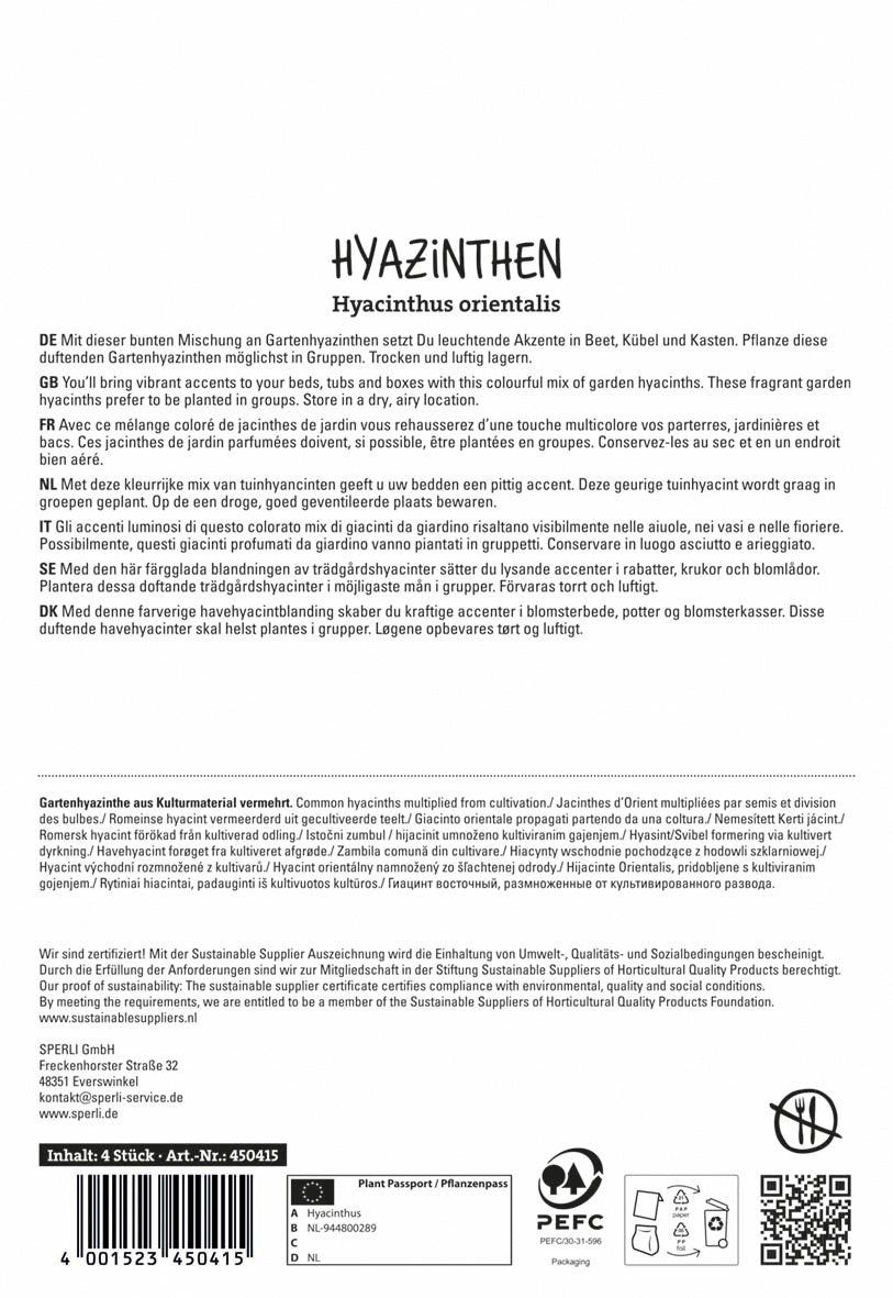  Hyazinthe Mischung (4 Stück)