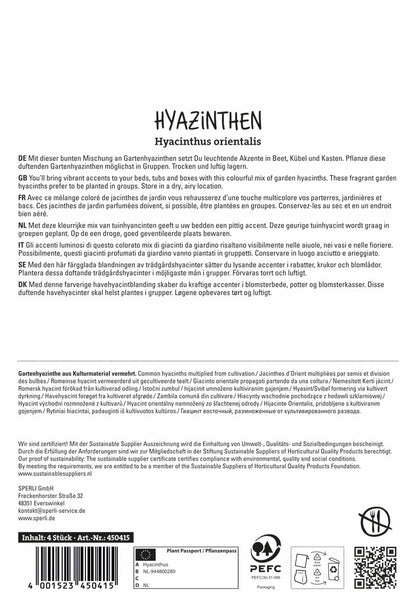  Hyazinthe Mischung (4 Stück)