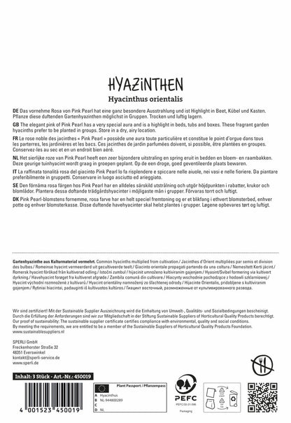  Hyazinthe Pink Pearl (3 Stück)