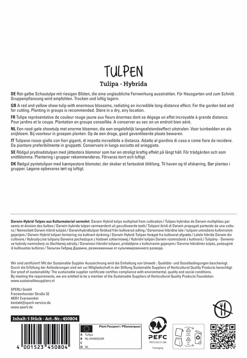  Tulpe Banja Luka (5 Stück)