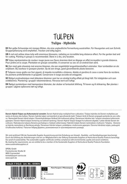  Tulpe Banja Luka (5 Stück)