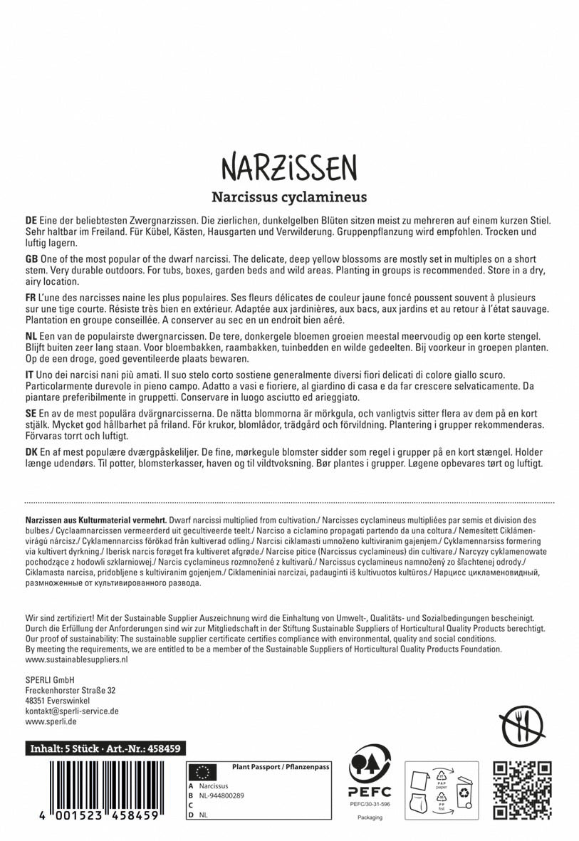  Botanische Narzisse Tete A Tete (5 Stück)