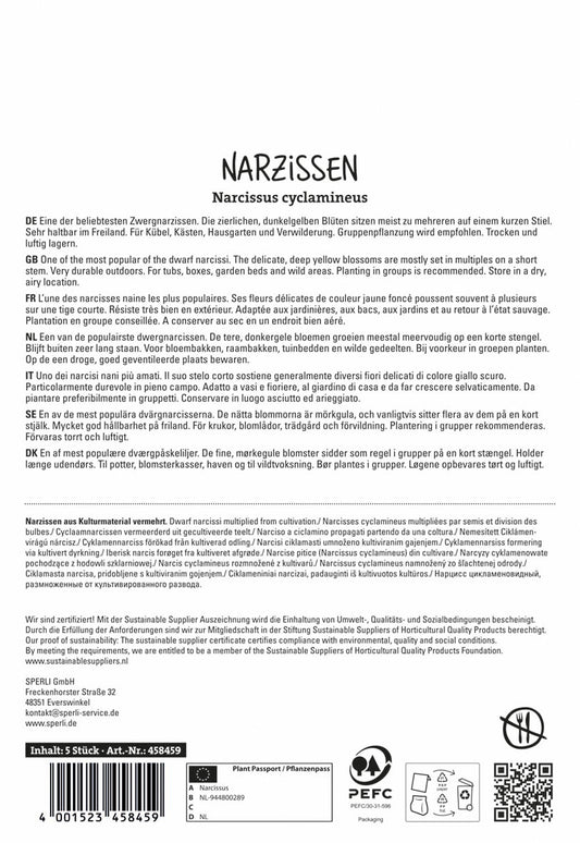  Botanische Narzisse Tete A Tete (5 Stück)
