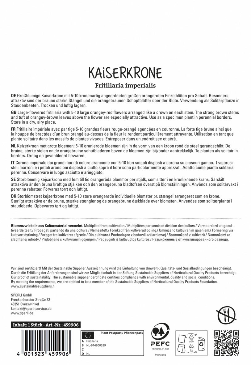  Kaiserkrone Orange Beauty (1 Stück)