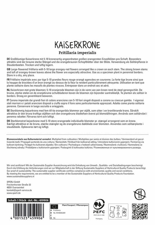  Kaiserkrone Orange Beauty (1 Stück)